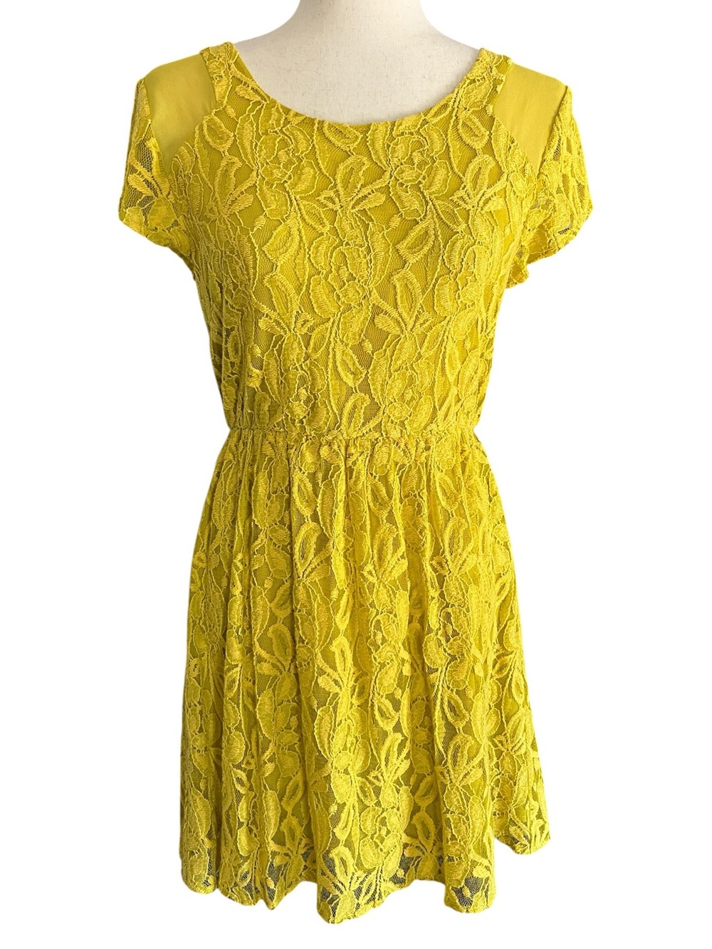Coincidence & Chance Revel lace Dress